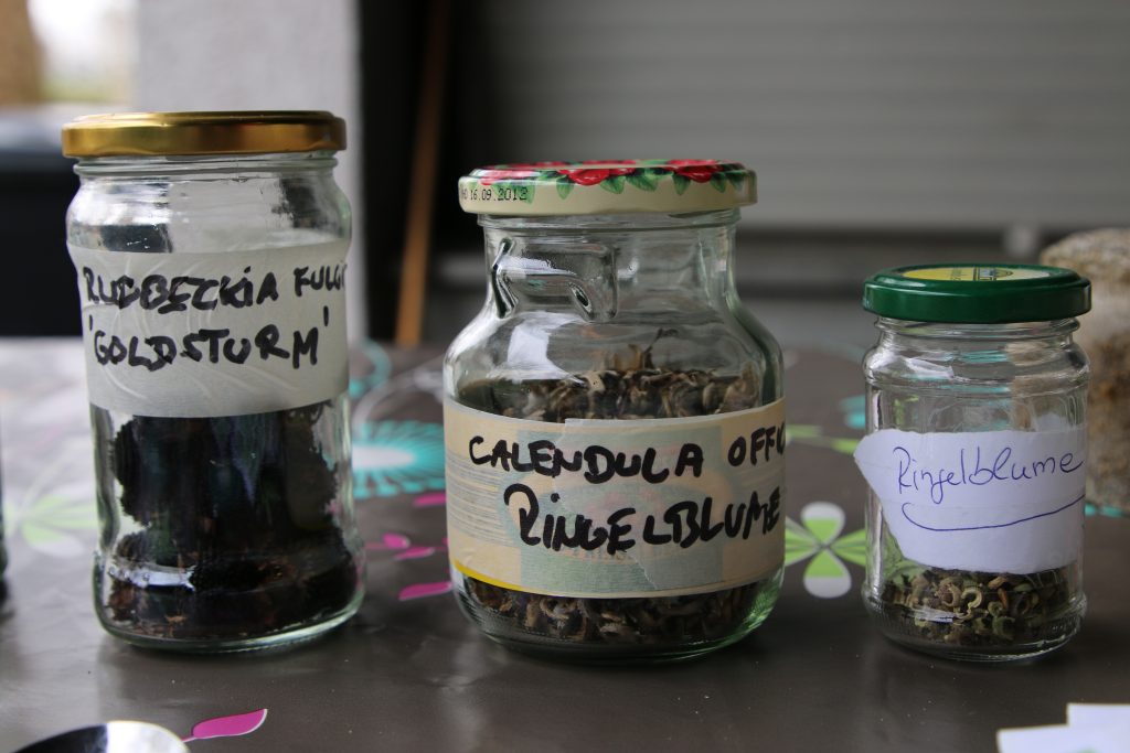 Pflanzentauschbörse